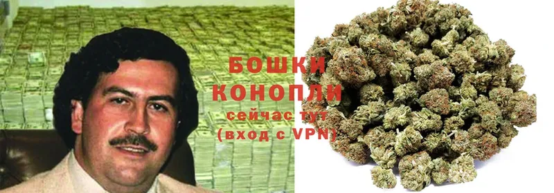 купить закладку  Светлоград  Бошки Шишки THC 21% 